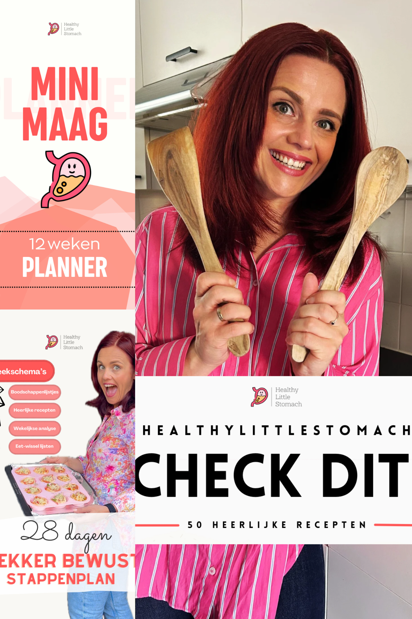 Totale bundel: Check Dit, Planner, Bewust Stappenplan