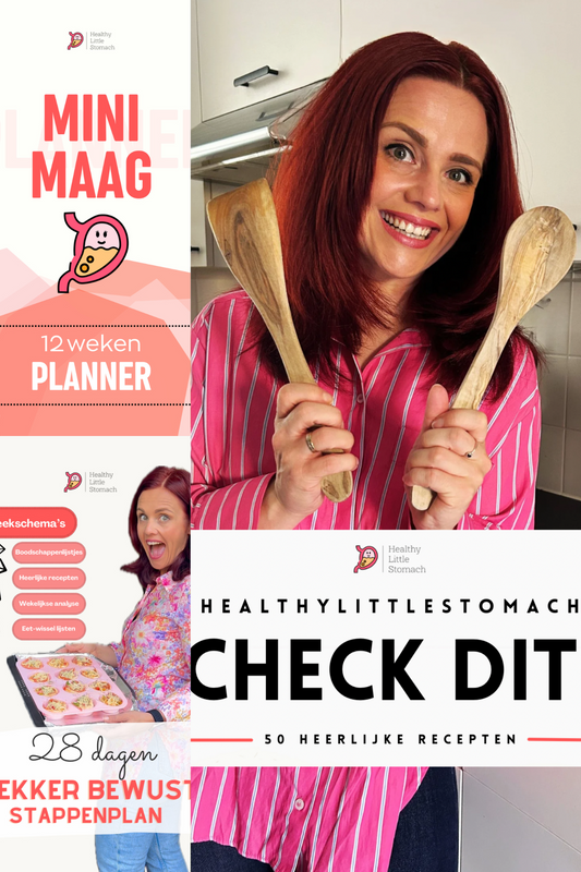 Totale bundel: Check Dit, Planner, Bewust Stappenplan