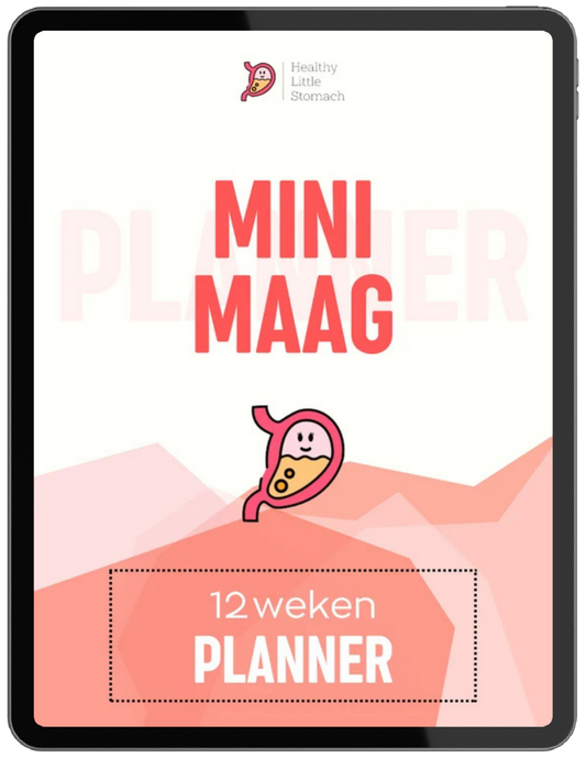 Mini Maag Planner (E-book)